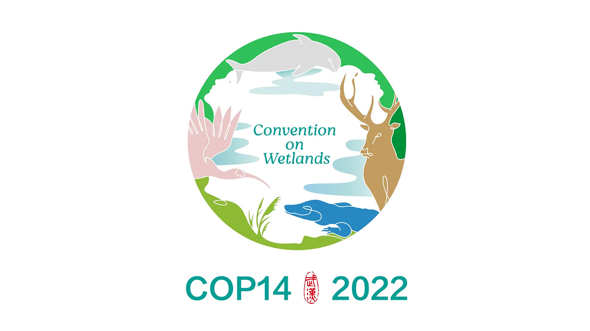 珍爱湿地文旅插画